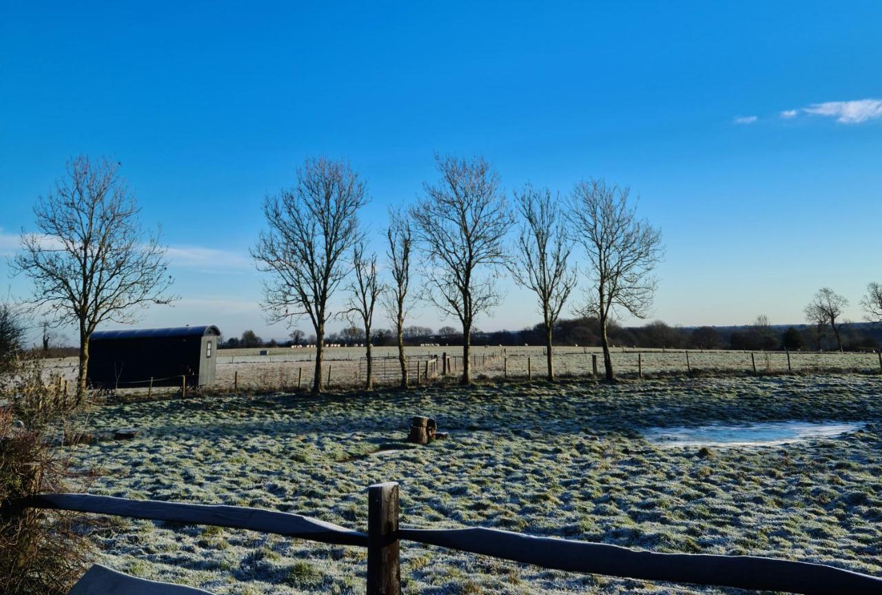 Milberry Green Meadows Warlingham Dış mekan fotoğraf